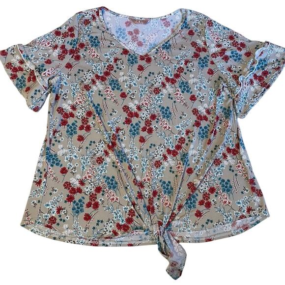 Amana Tops - AMANA Cottage Core Gray Red Blue Floral Textured Tie Front V Neck Tee Size 2X
